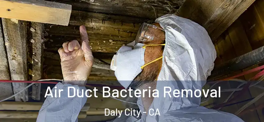  Air Duct Bacteria Removal Daly City - CA