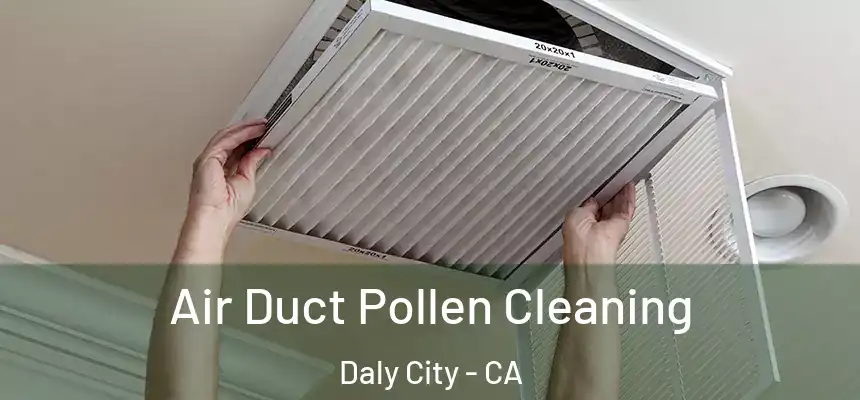  Air Duct Pollen Cleaning Daly City - CA
