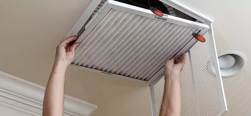 Preventive Cockroach-Proofing for Ducts in Daly City