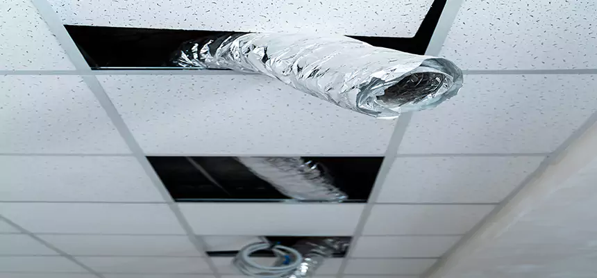 Affordable HVAC Sanitizing After Pest Removal in Daly City