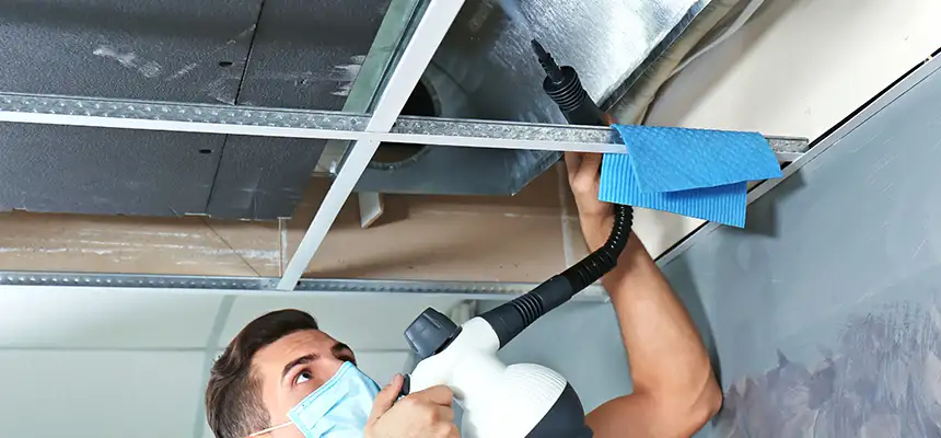 Our Air Duct Rodent Removal Services in Daly City, CA