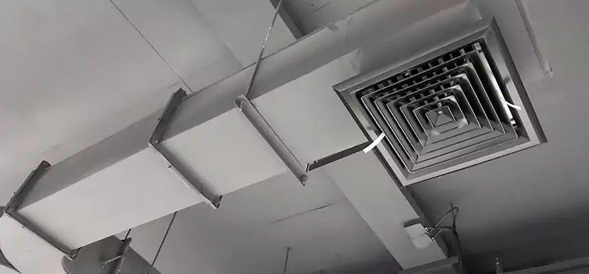 Restorative Allergy Relief Vent Cleaning – Coil, Blower & Housing Detail in Daly City