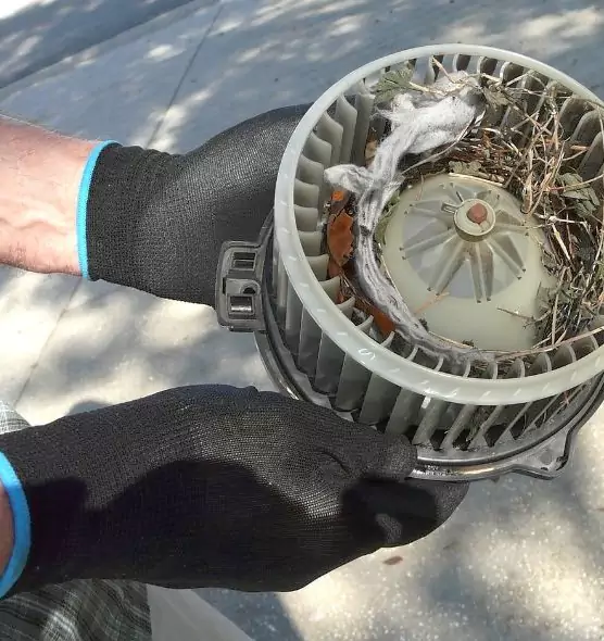 About Air Duct Rat Removal in Daly City, CA