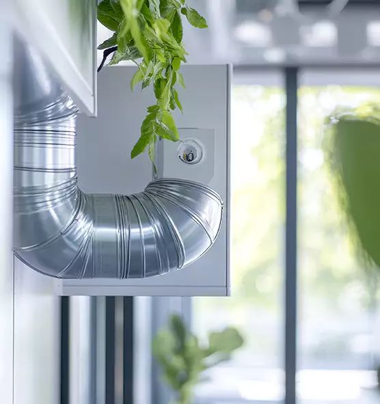 Professional Eco-Safe Dryer Vent Cleaning in Daly City, CA