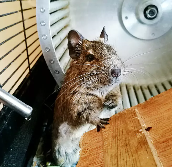 Why Homeowners & Businesses Trust Us Daly City, CA