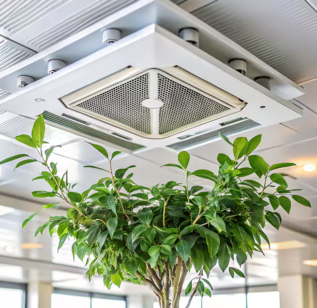 Why Homeowners & Businesses Trust Us in Daly City, CA