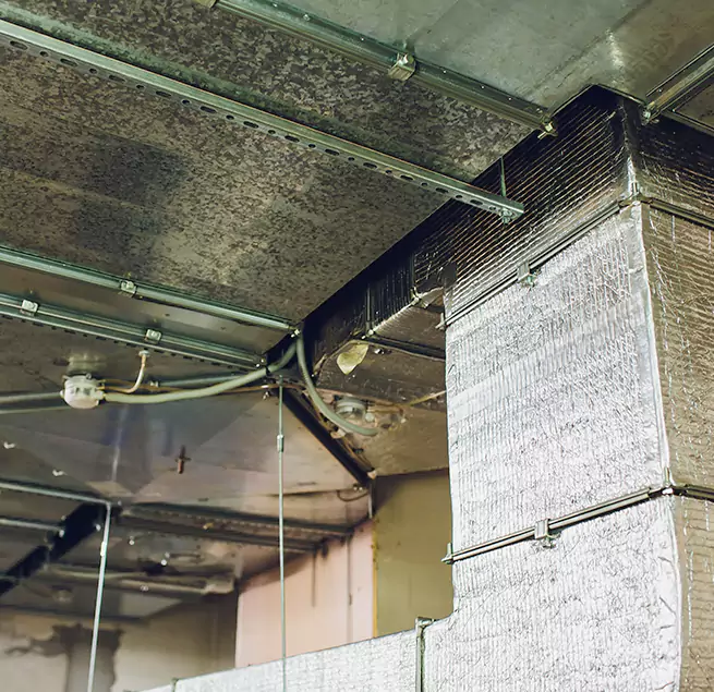 Why Homeowners & Businesses Trust Us in Daly City, CA?